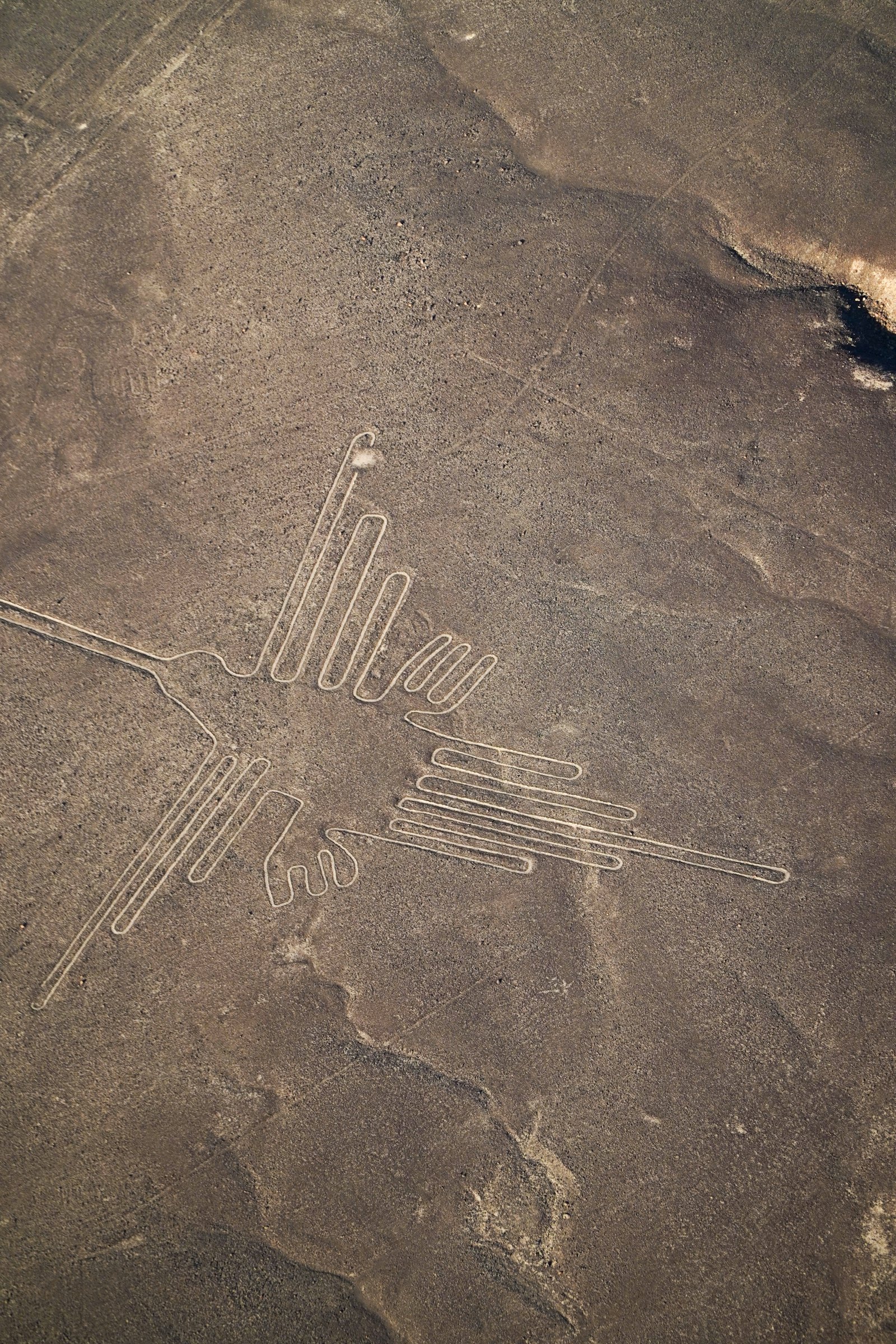 Nazca Lines Scenic Flight